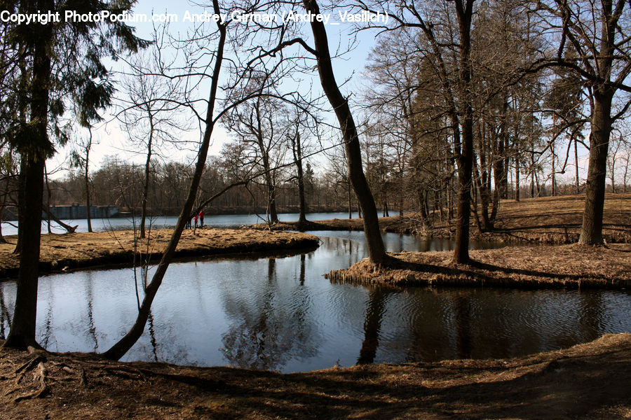 Landscape, Nature, Scenery, Flood, Forest, Vegetation