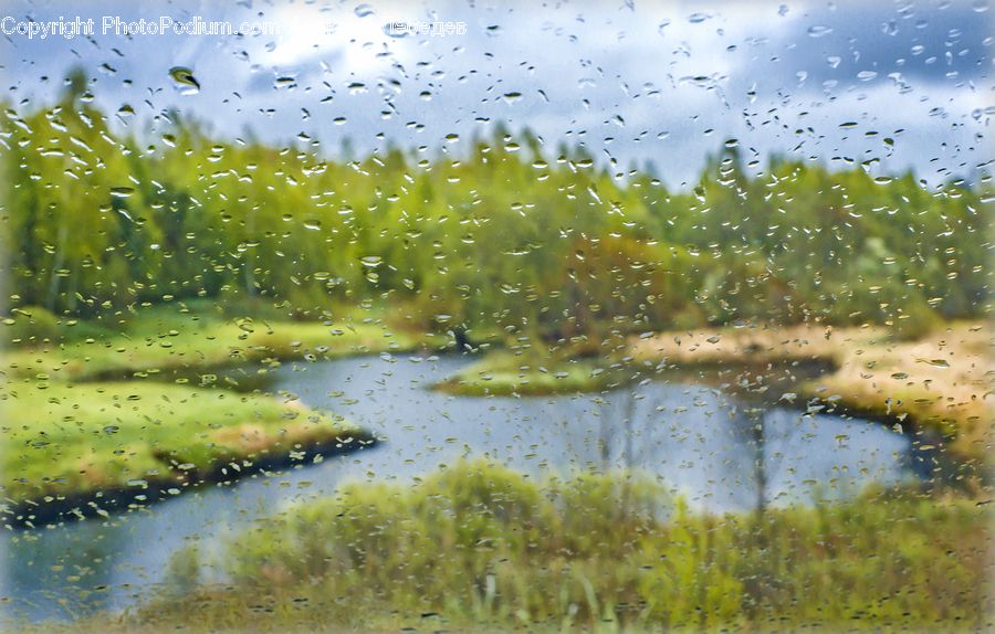 Land, Marsh, Pond, Swamp, Water, Field, Grass