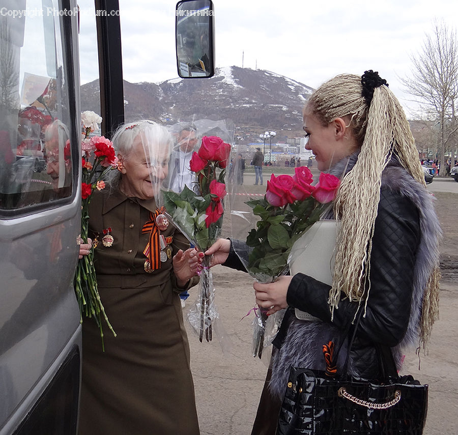 Human, People, Person, Blossom, Flower, Plant, Rose