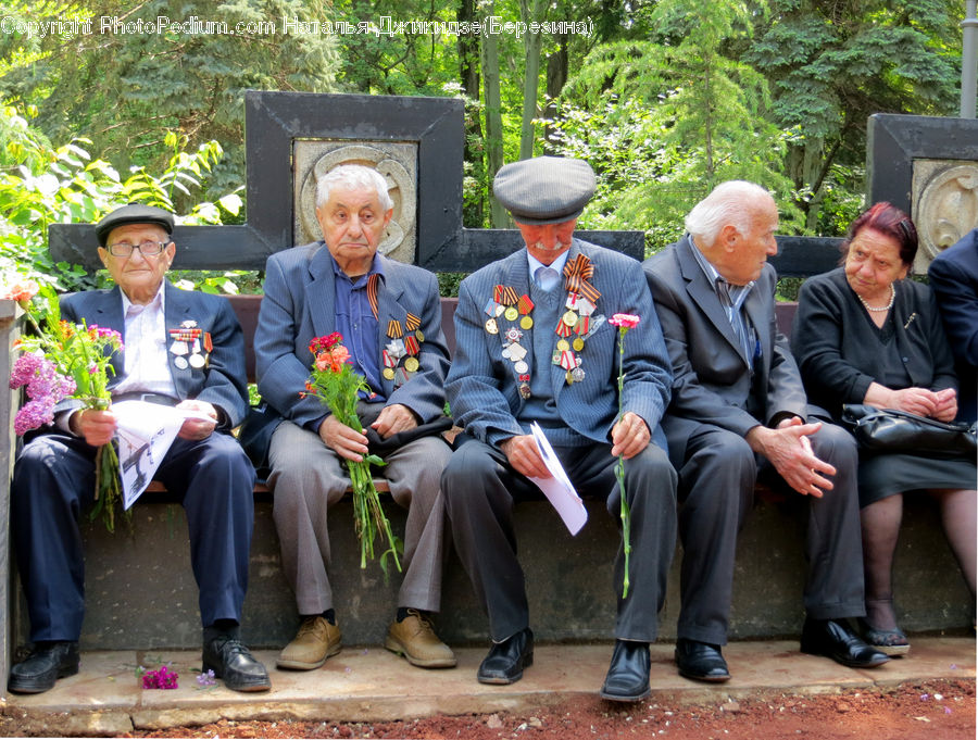 People, Person, Human, Team, Troop, Bench, Leisure Activities