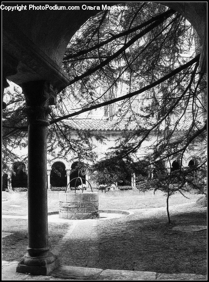 Cylinder, Bench, Park, Plant, Tree, Column, Pillar