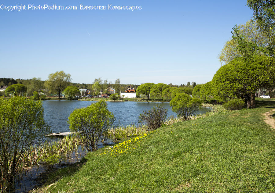 Land, Marsh, Outdoors, Swamp, Water, Canal, River