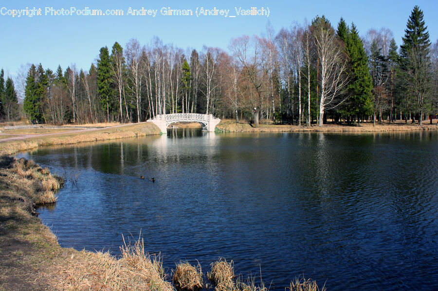 Lake, Outdoors, Water, Field, Grass, Grassland, Plant