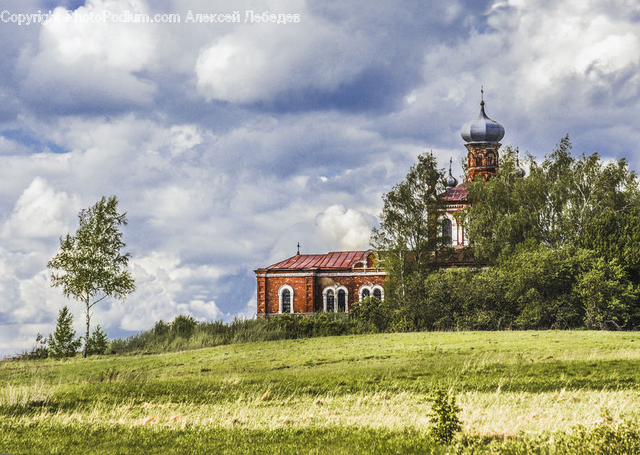 Plant, Tree, Building, Housing, Villa, Cabin, Hut