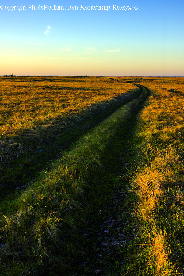 Field, Grass, Grassland, Plant, Land, Outdoors, Dirt Road