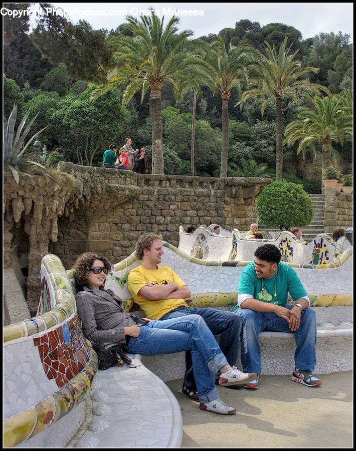 People, Person, Human, Water, Water Park, Palm Tree, Plant