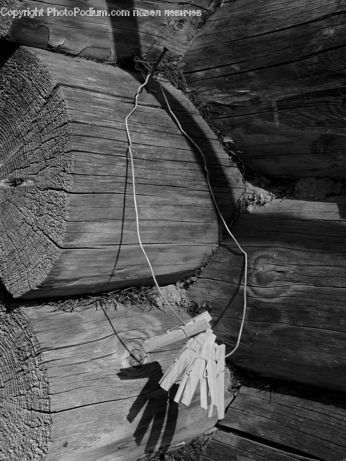 People, Person, Human, Bench, Dock, Landing, Pier