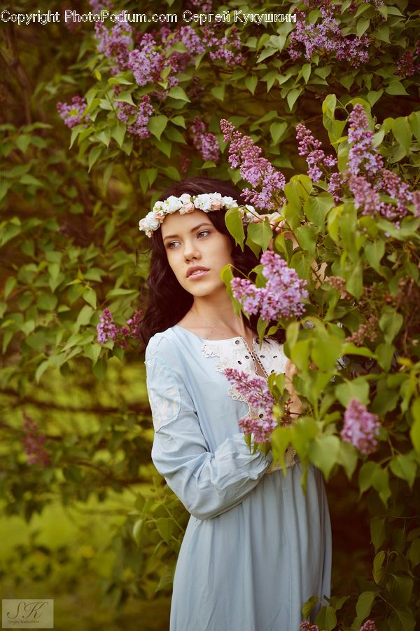 People, Person, Human, Blossom, Flower, Lilac, Plant