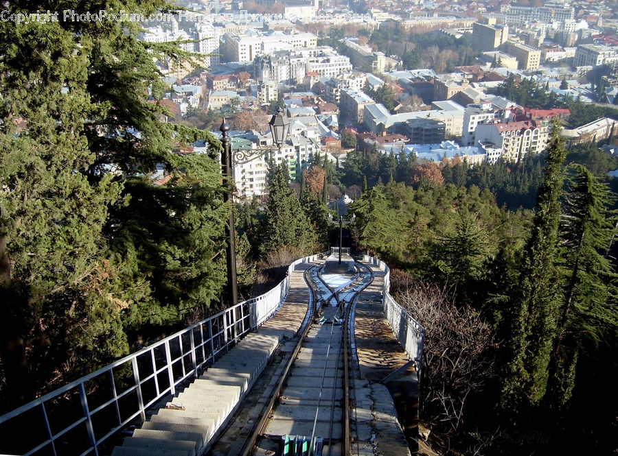 Building, Downtown, Town, Machine, Ramp, Fir, Redwood
