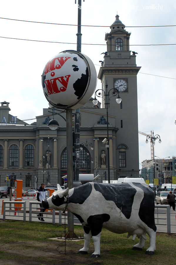 Inflatable, Animal, Cattle, Cow, Dairy Cow, Mammal
