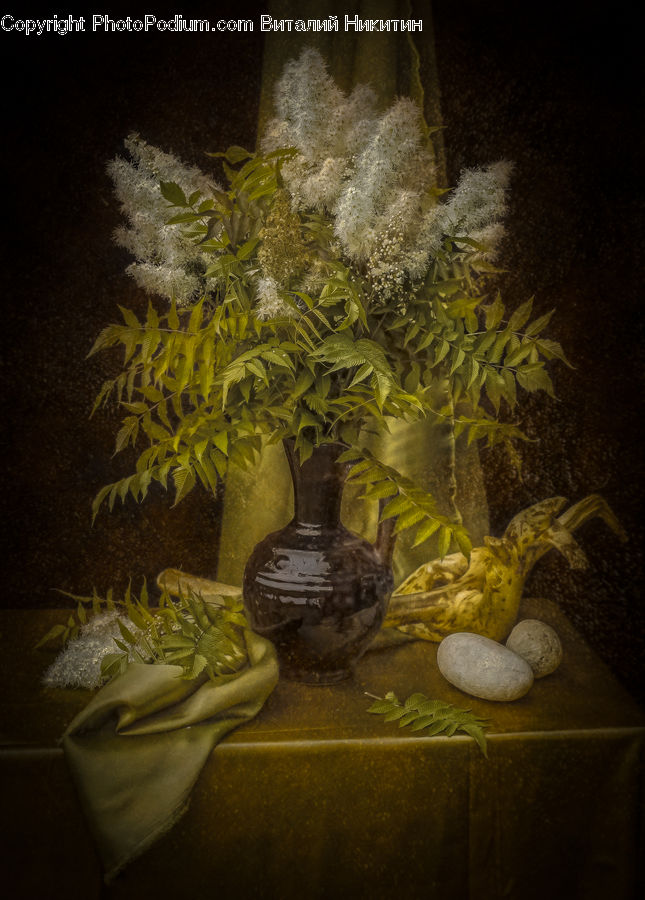 Plant, Potted Plant, Bonsai, Tree, Coral Reef, Outdoors, Reef