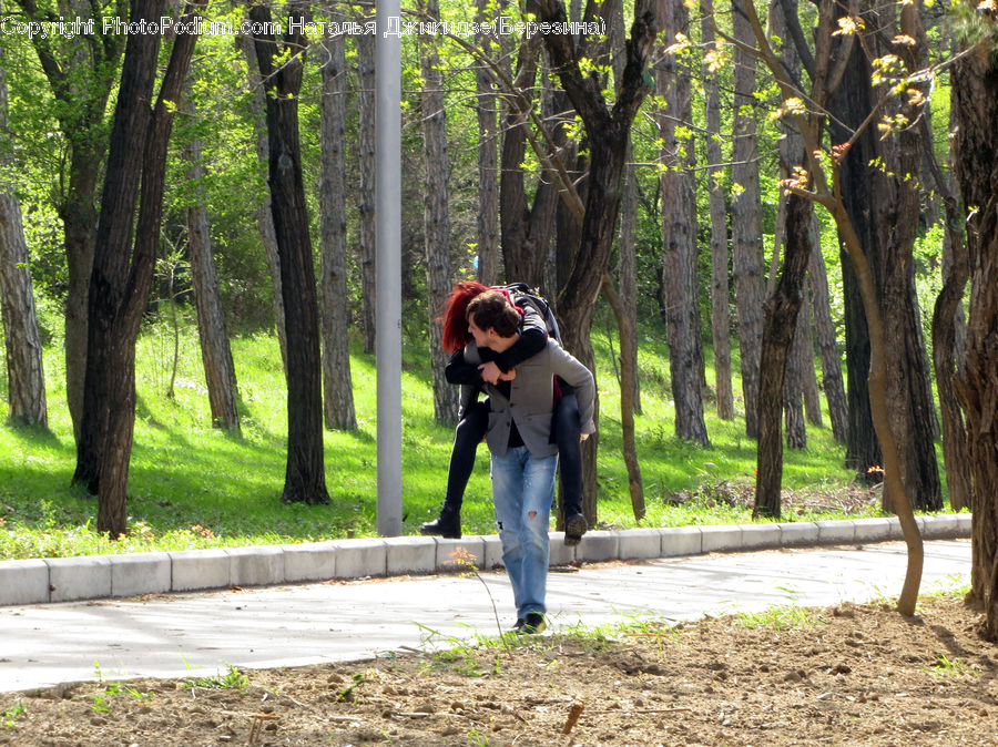 Human, People, Person, Oak, Tree, Wood, Plant