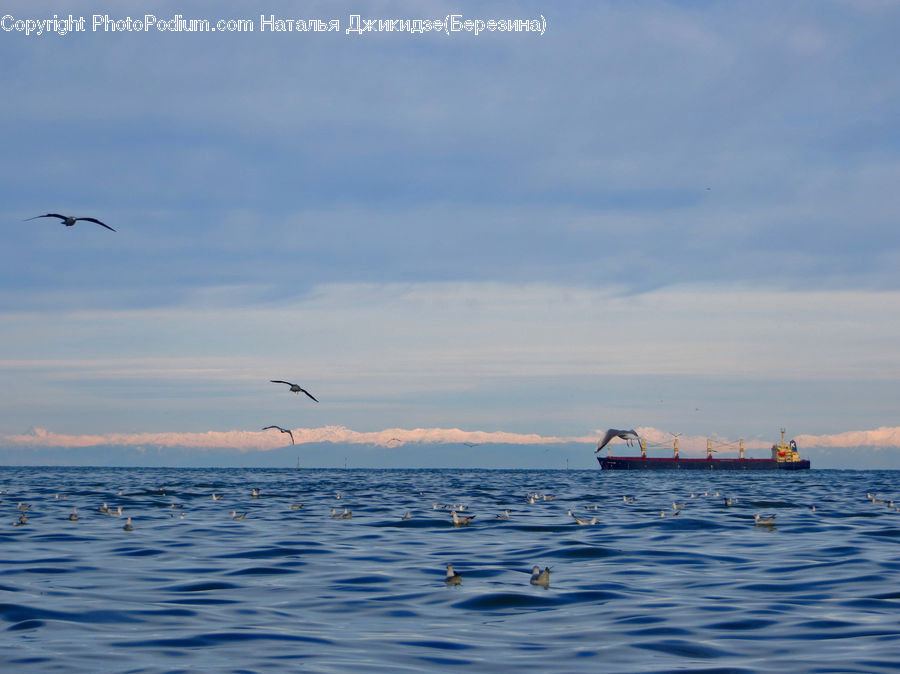 Horizon, Sky, Outdoors, Sea, Water, Ocean, Landscape