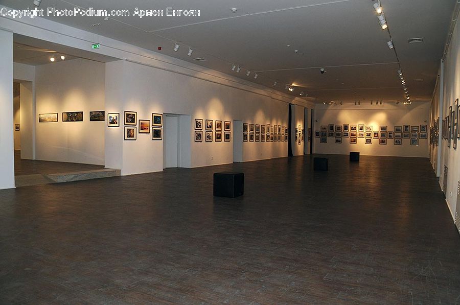 Art, Art Gallery, Floor, Flooring, Indoors, Lobby, Reception