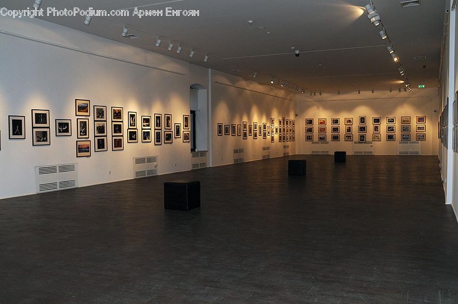 Art, Art Gallery, Floor, Flooring, Architecture, Convention Center, Indoors