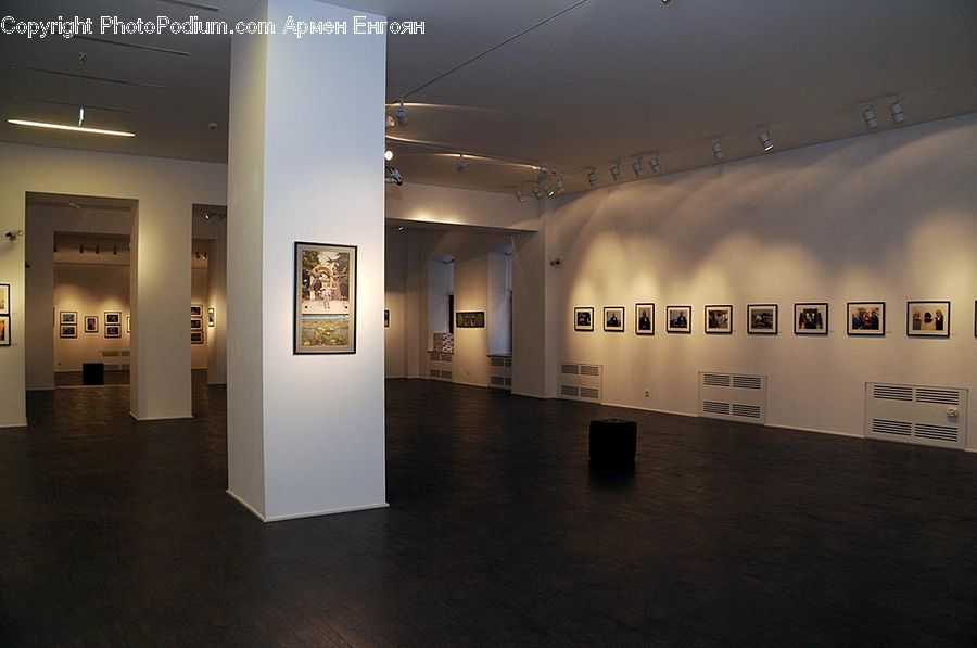 Art, Art Gallery, Floor, Flooring, Housing, Indoors, Interior Design