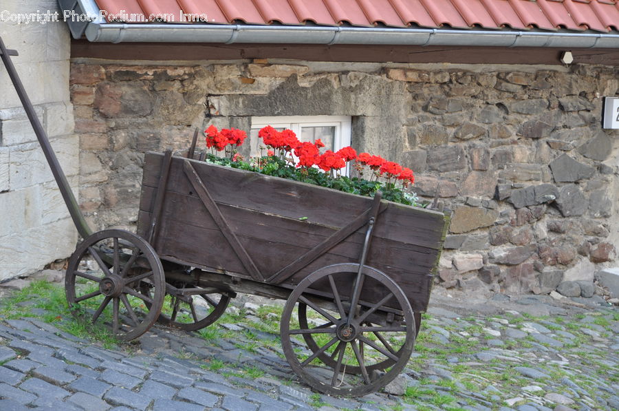 Barrow, Vehicle, Wheelbarrow, Carriage, Horse Cart, Plant, Potted Plant