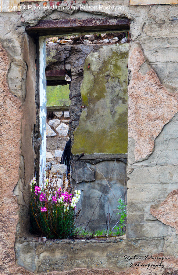 Cobblestone, Pavement, Walkway, Flagstone, Blossom, Flora, Flower