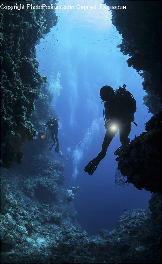 Diver, Diving, Person, Water, Sport, Coral Reef, Outdoors