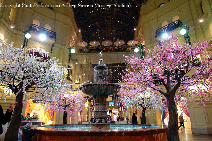 Chandelier, Lamp, Lighting, Blossom, Cherry Blossom, Flower, Flora