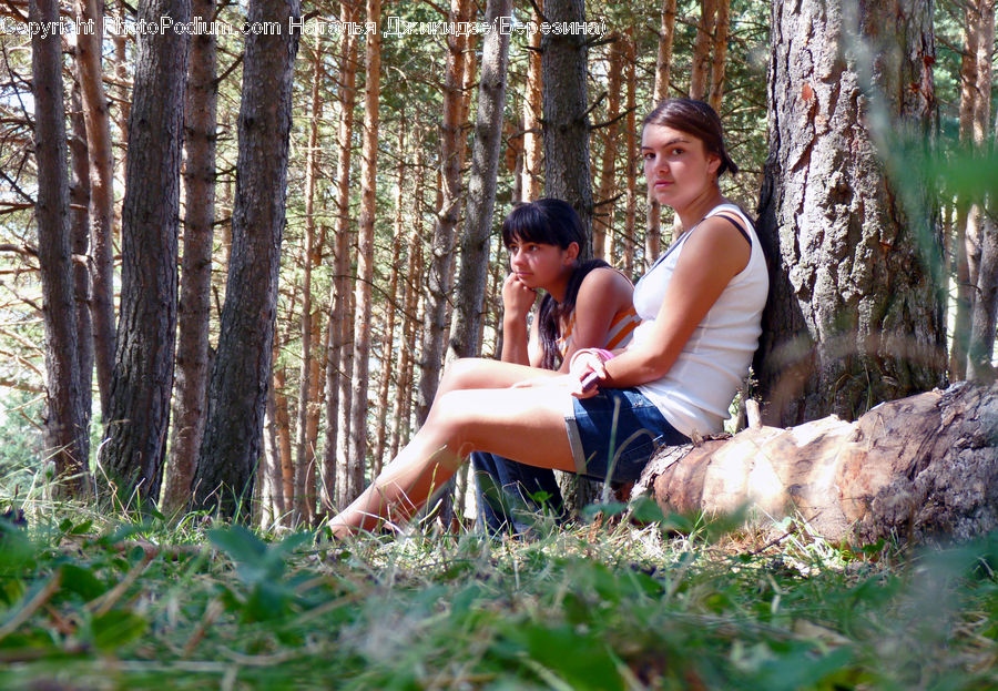People, Person, Human, Forest, Vegetation, Female, Girl