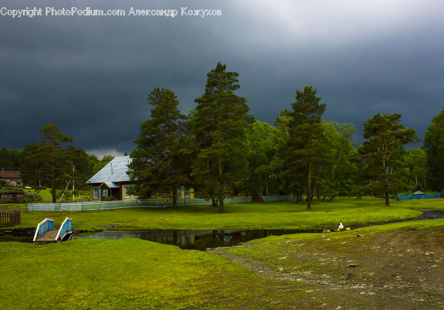 Golf Course, Grassland, Field, Grass, Land, Outdoors, Plant