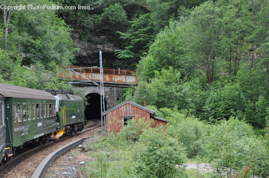 Train, Vehicle, Boat, Watercraft, Bridge, Rail, Train Track