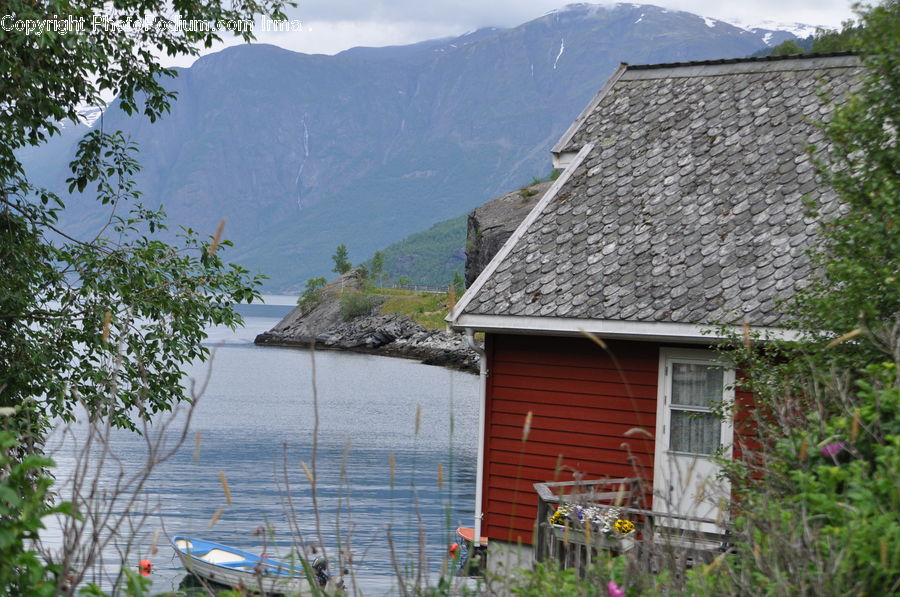 Building, Cottage, Housing, Ivy, Plant, Vine, Cabin