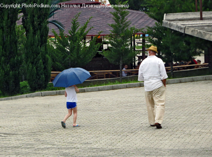 Human, People, Person, Umbrella, Leisure Activities, Park, Plant