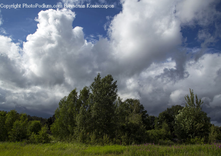 Outdoors, Storm, Weather, Cloud, Cumulus, Sky, Azure Sky