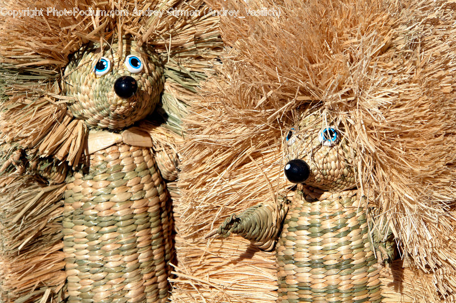 Hay, Straw, Grain, Wheat, Acorn, Plant, Seed