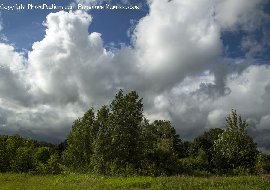 Outdoors, Storm, Weather, Cloud, Cumulus, Sky, Azure Sky