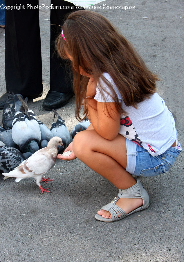 Human, People, Person, Bird, Pigeon, Dove, Female