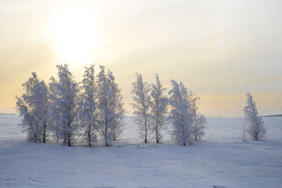 Frost, Ice, Outdoors, Snow, Arctic, Winter, Landscape