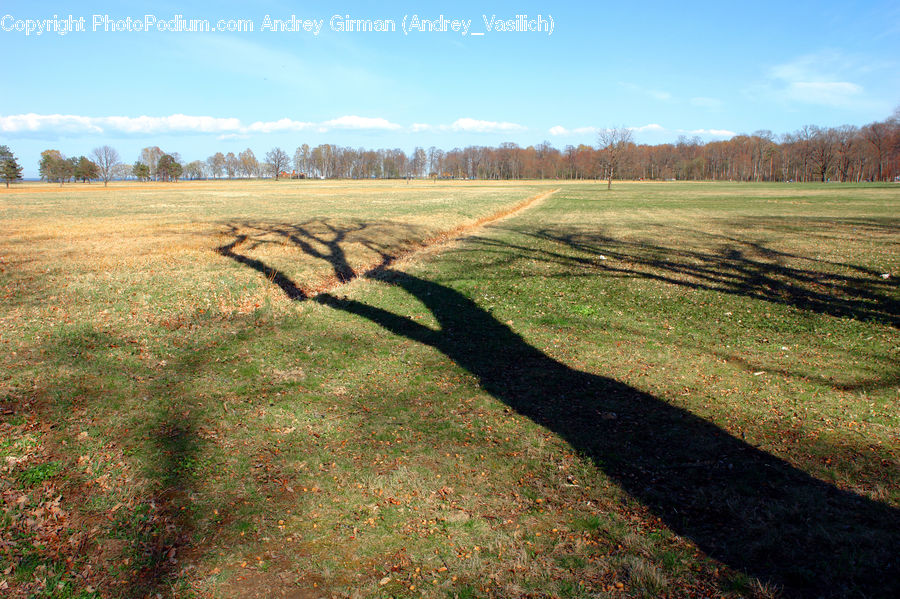 Field, Grass, Grassland, Land, Outdoors, Plant, Dirt Road