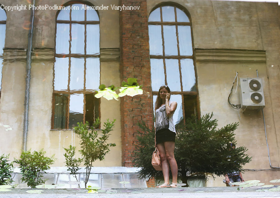 People, Person, Human, Plant, Potted Plant, Window, Bonsai