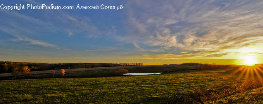 Field, Grass, Grassland, Land, Outdoors, Dirt Road, Gravel