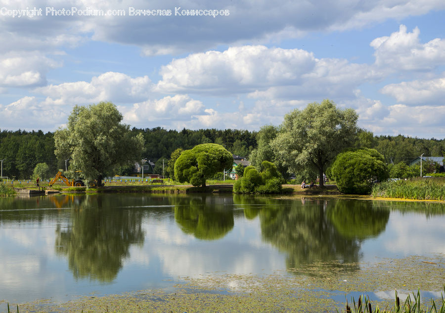 Outdoors, Pond, Water, Cloud, Cumulus, Sky, Field