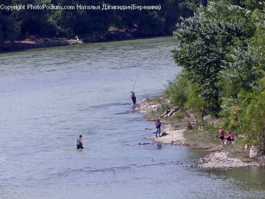 Outdoors, River, Water, Forest, Jungle, Rainforest, Vegetation