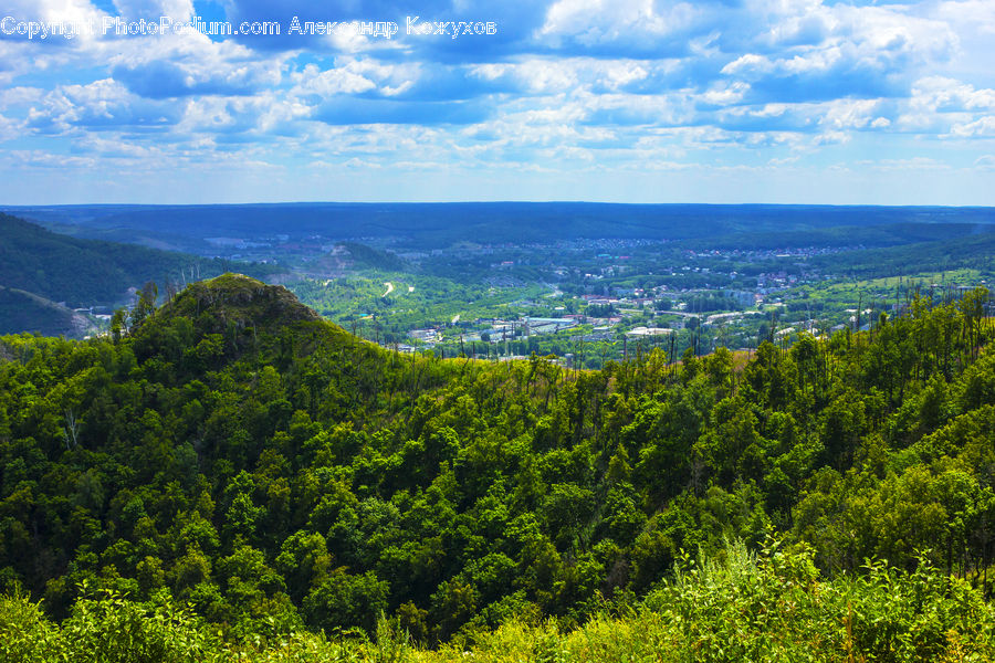 Cloud, Cumulus, Sky, Forest, Jungle, Rainforest, Vegetation