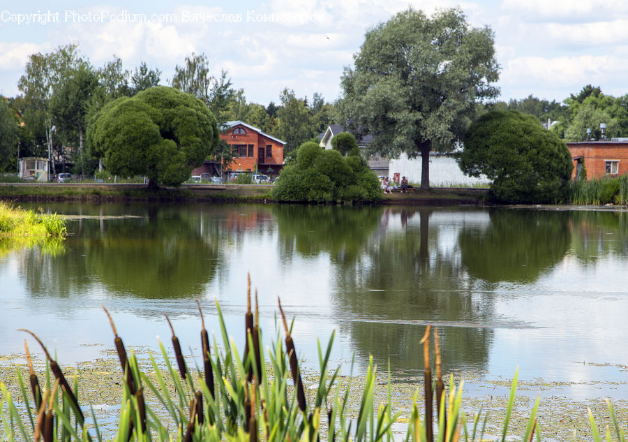 Outdoors, Pond, Water, Building, Cottage, Housing, Land