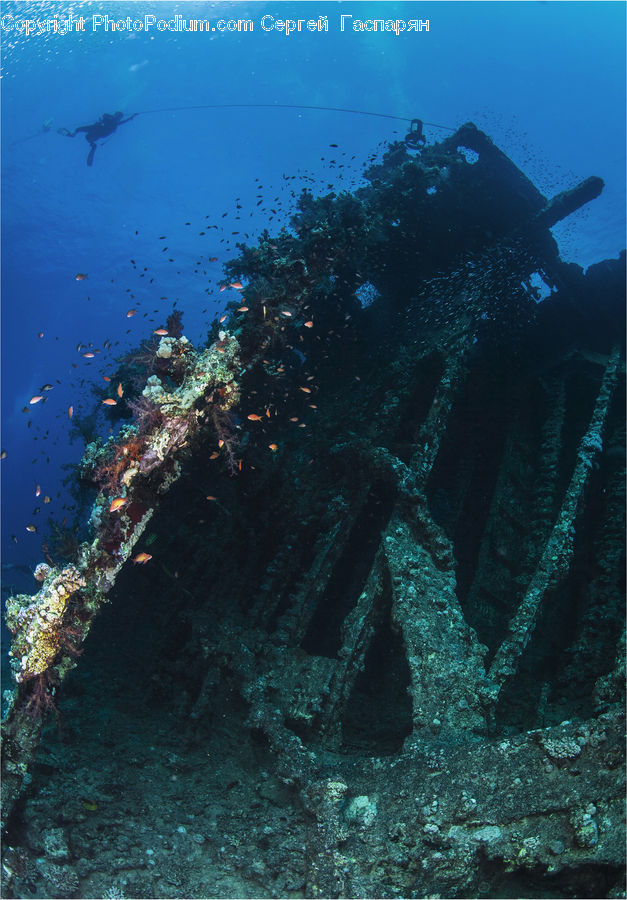 Shipwreck, Coral Reef, Outdoors, Reef, Sea, Sea Life, Water