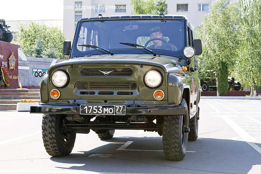 Fence, Hedge, Plant, Car, Jeep, Vehicle, Bench