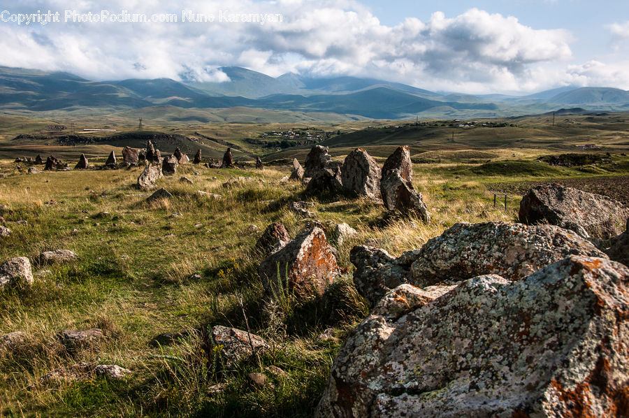 Tree Stump, Outdoors, Plateau, Field, Grass, Grassland, Land