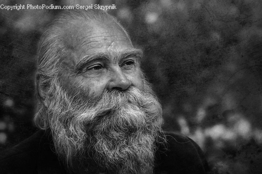 Beard, Hair, Person, Portrait