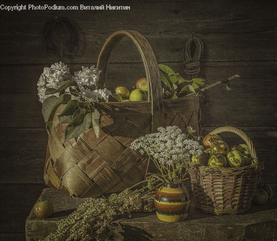 Basket, Plant, Potted Plant, Nut, Seed, Walnut, Pot