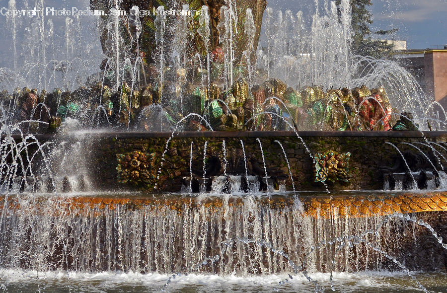 Fountain, Water, Art, Plant, Tree, Blossom, Flora