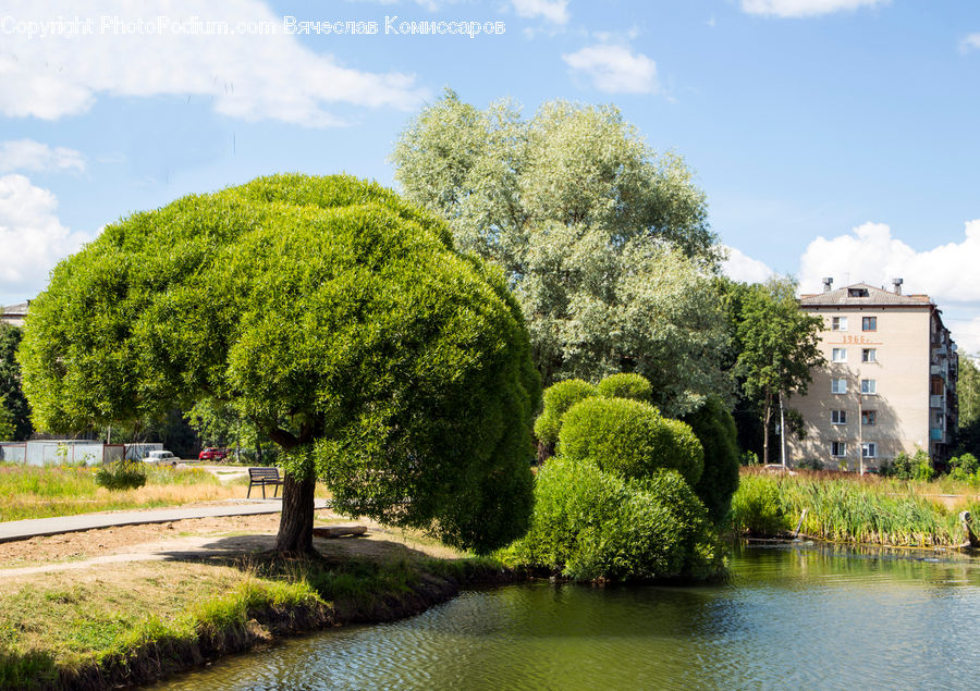 Canal, Outdoors, River, Water, Plant, Tree, Building