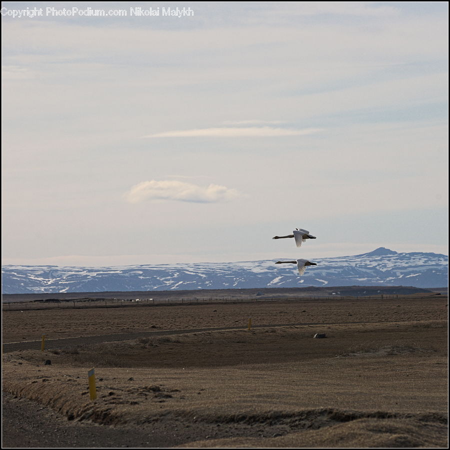 Adventure, Flight, Gliding