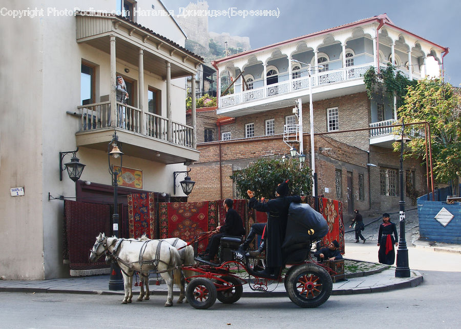 Animal, Horse, Mammal, Carriage, Horse Cart, Vehicle, Balcony